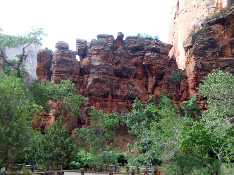 Nps Centennial Discovering Desert Beauty In Zion Mast General Store